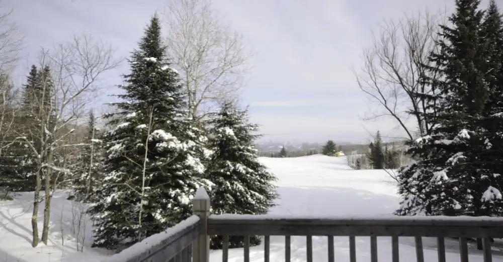 Oasis - Tremblant Sunstar
