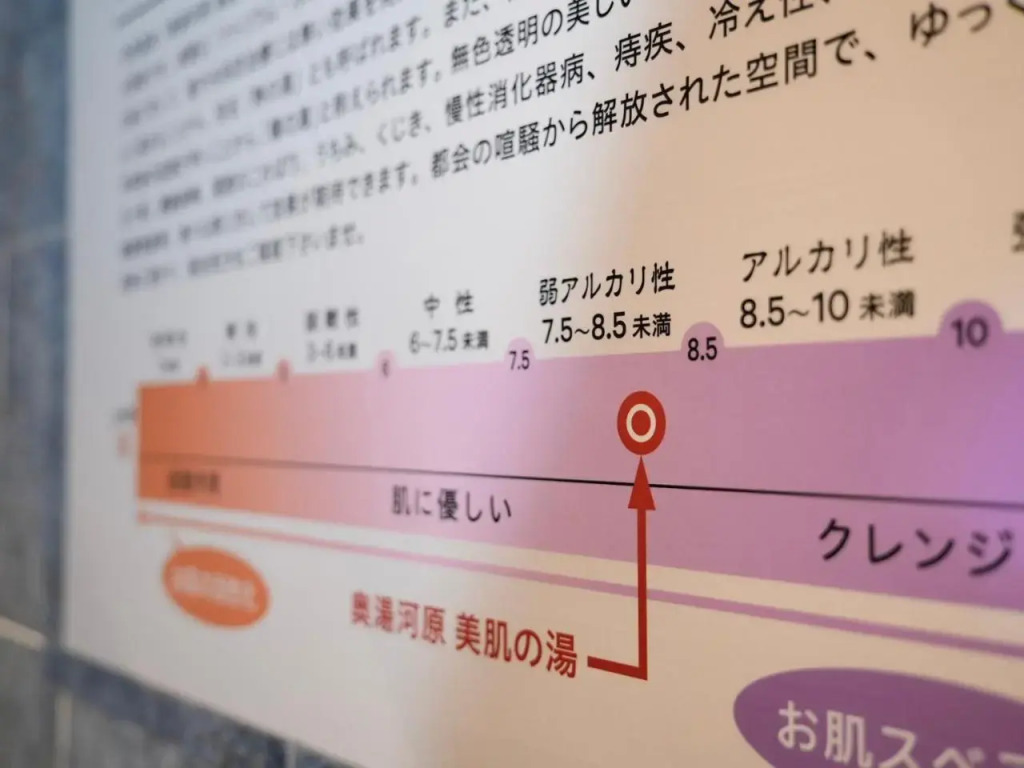 Super Hotel Premier Ikebukuro Natural Hot Spring