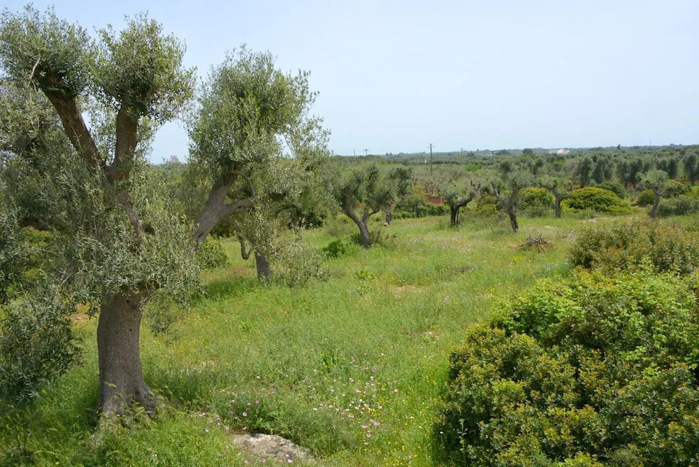 House With One Bedroom In Ostuni With Furnished Garden 15 Km From The Beach