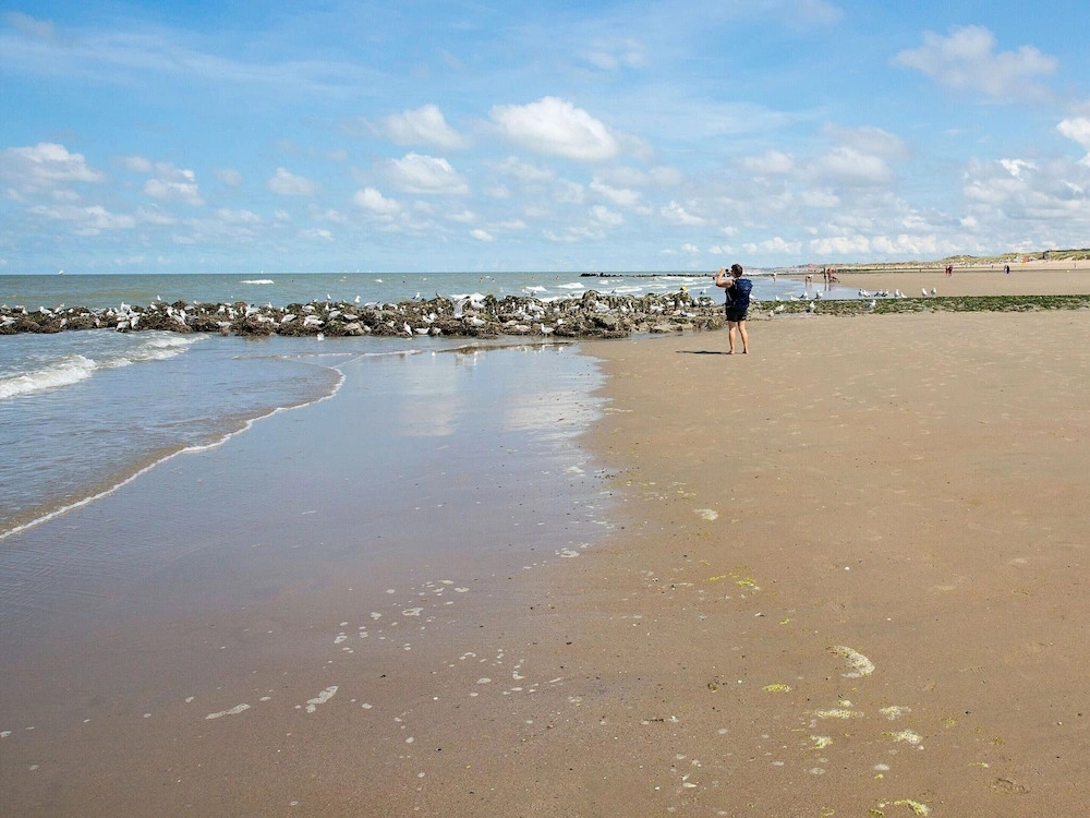 Detached Singlestorey Bungalow Near Ostend