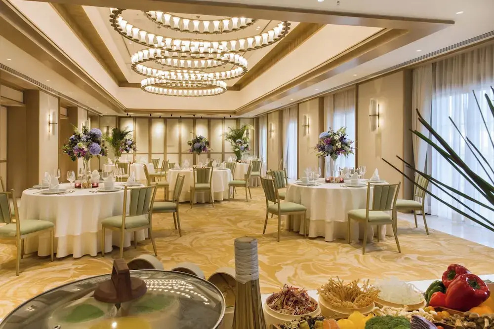 DLF Club 4