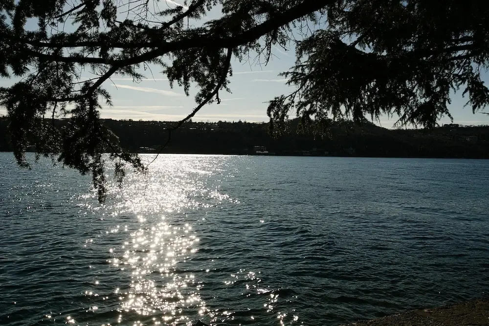 Alma - Near Lake in Sal