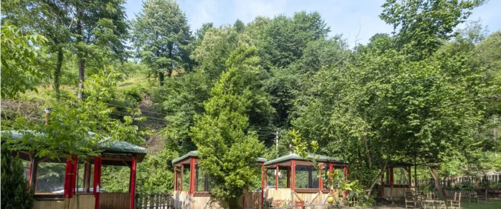 Yeşil düş vadisi