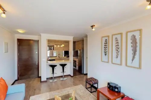Hermoso Departamento En El Corazón De Viña