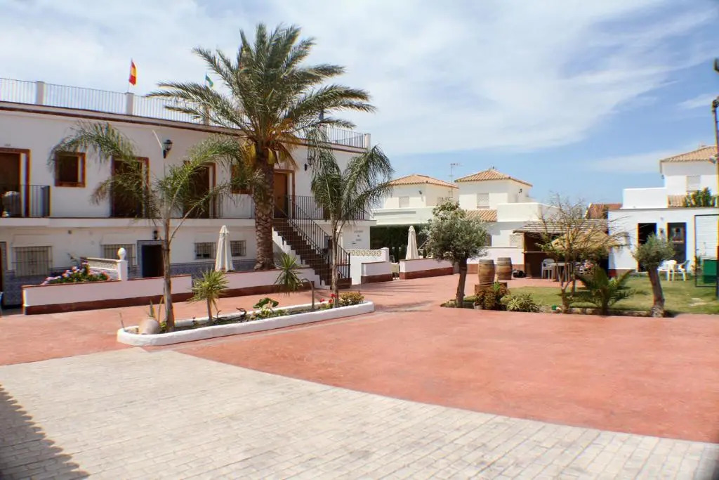 Apartamentos La Palmera