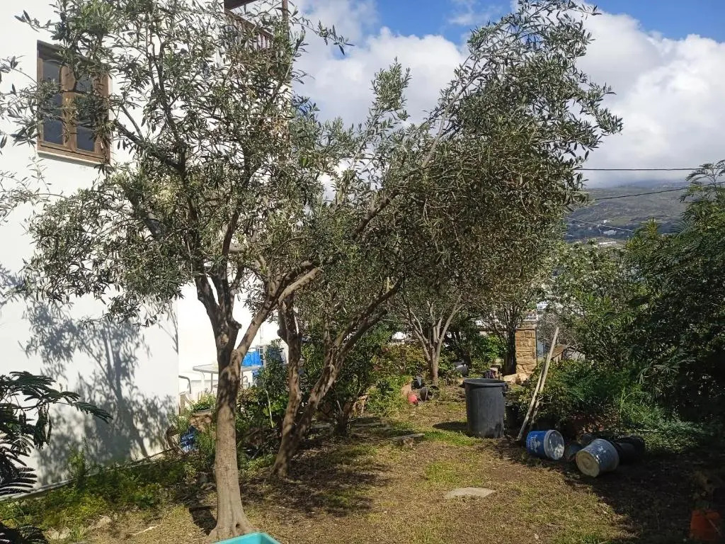 Villa Athina 3