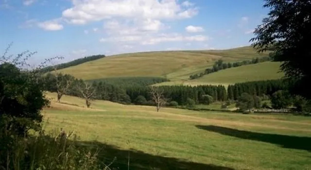 The Coppice
