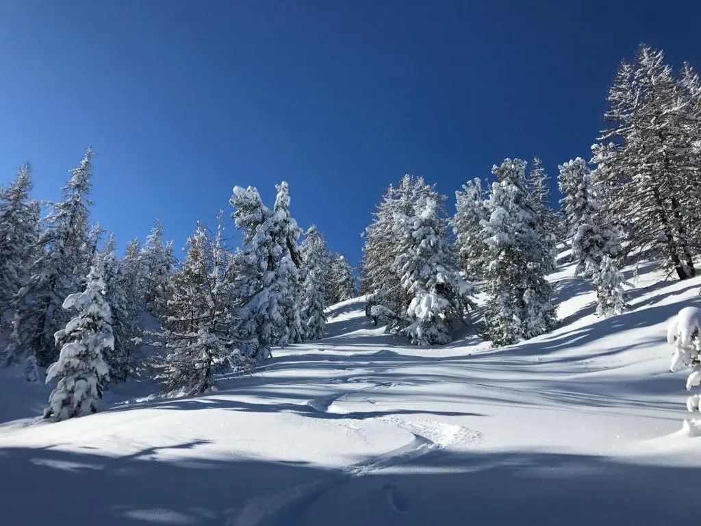 L'Alpi Cozie, rénové en 2020, pied des pistes et spa