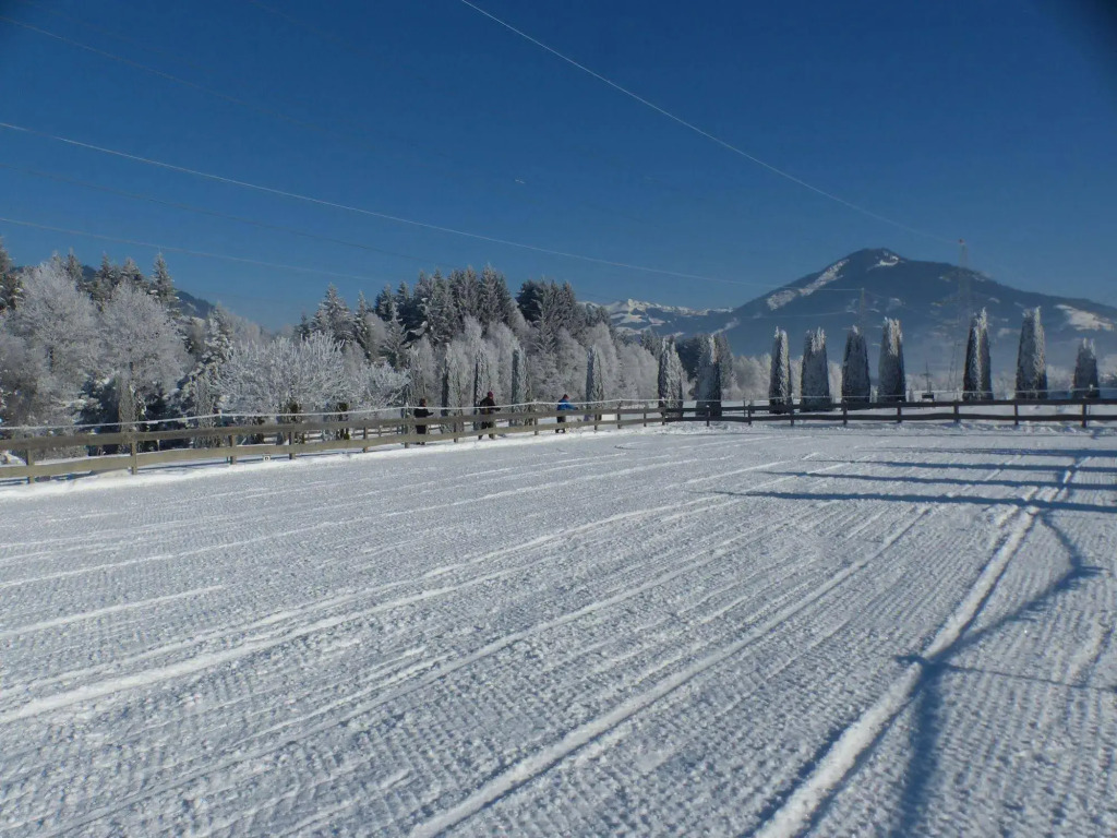 GUT das Edelweiss Zell am See - Kaprun