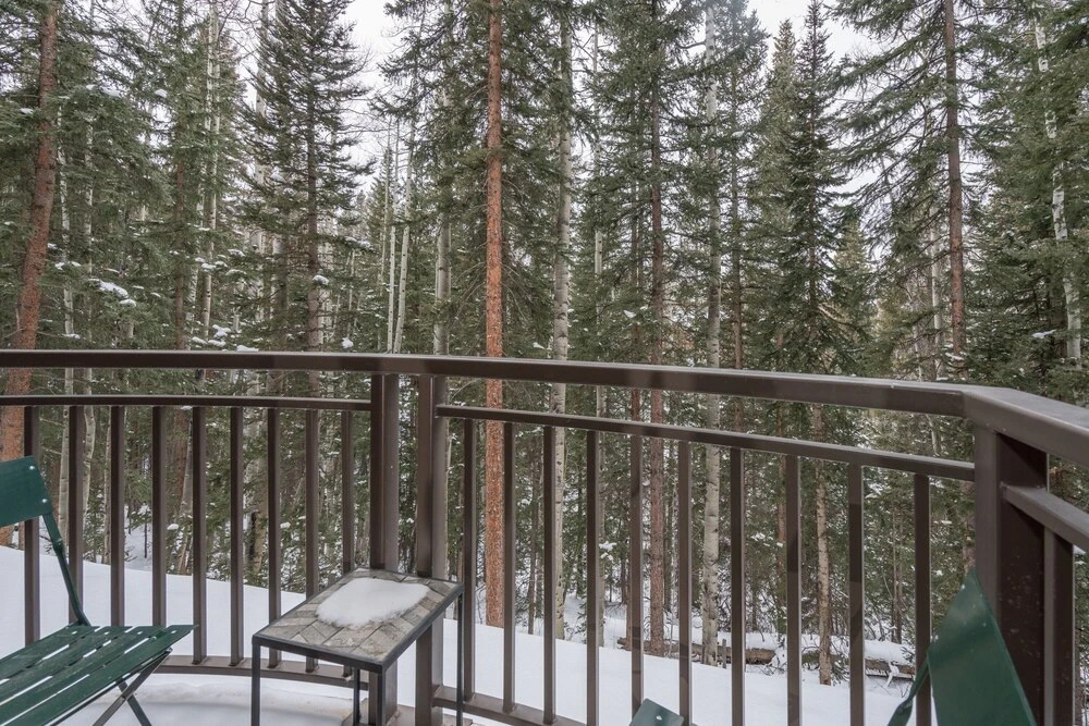 Bear Creek Lodge 203ab 2 Bedroom Condo by Alpine Lodging Telluride