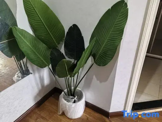 Haolaiwu Apartment (Chongqing Yangjiaping)
