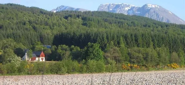 Garadh Buidhe