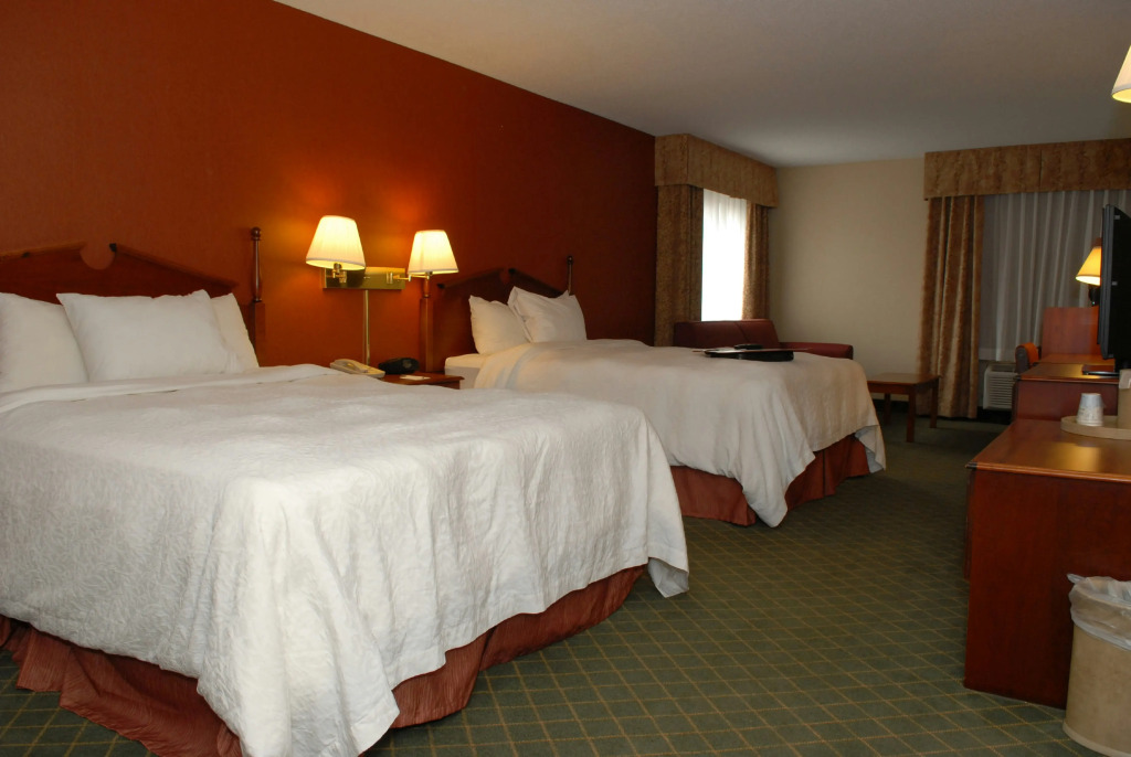 Hampton Inn Birch Run