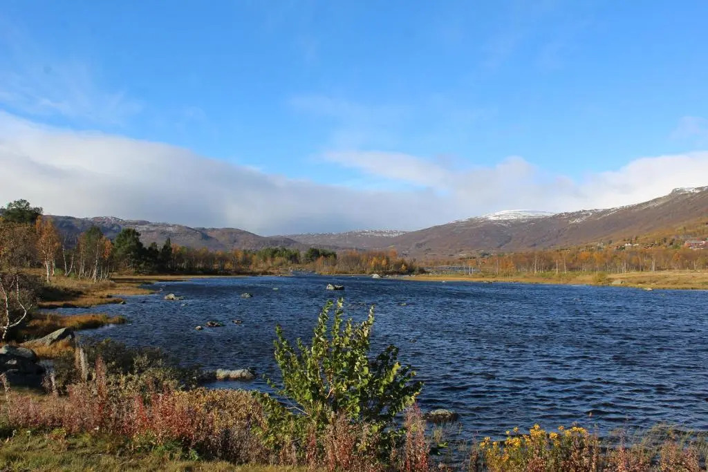 Ådnebu by Norgesbooking - cabin with 3 bedrooms