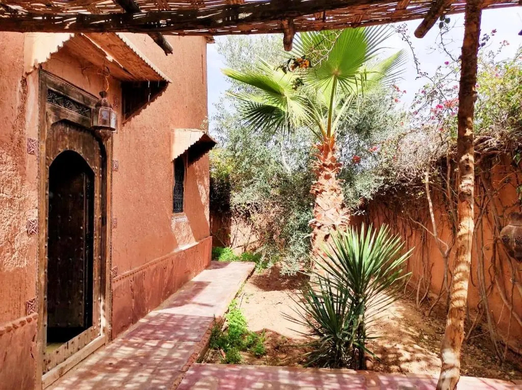 dar boumida