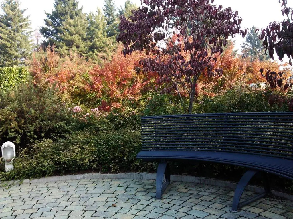 Cardano Hotel Malpensa