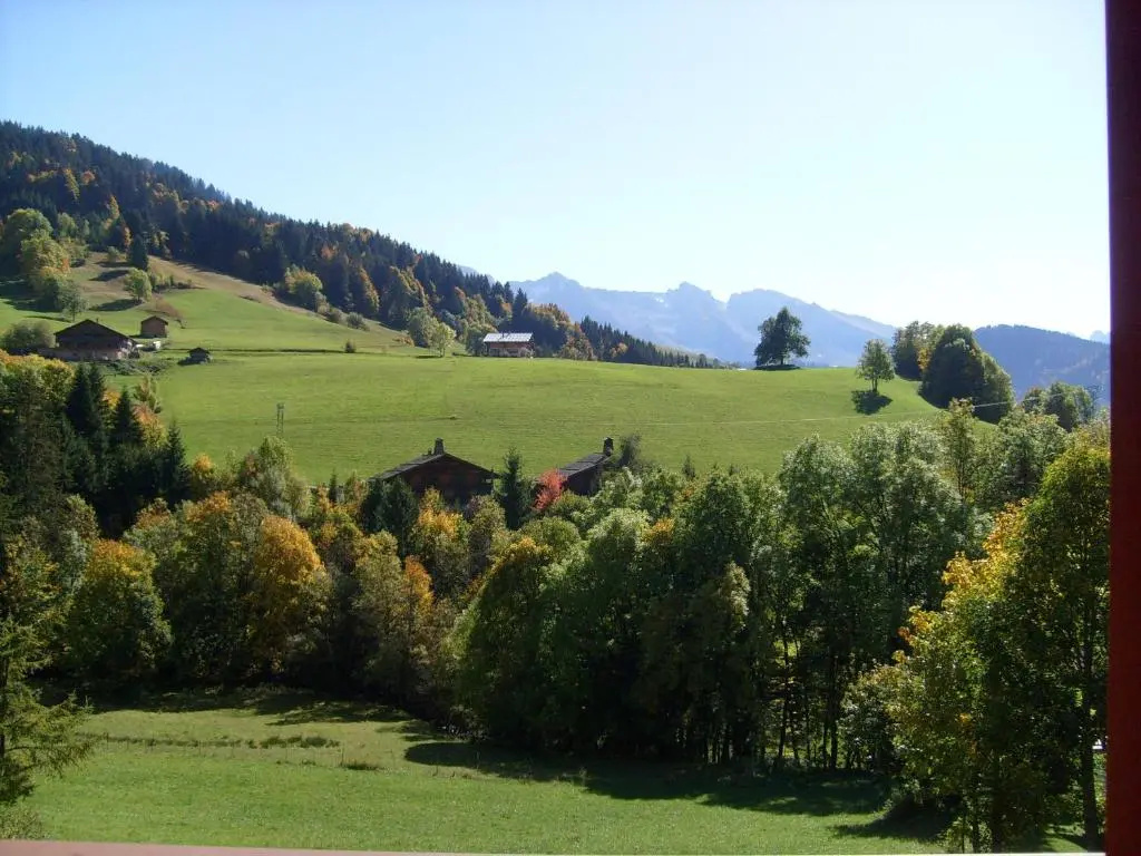 Appartement Le Grand-Bornand, 4 pièces, 12 personnes - FR-1-467-60