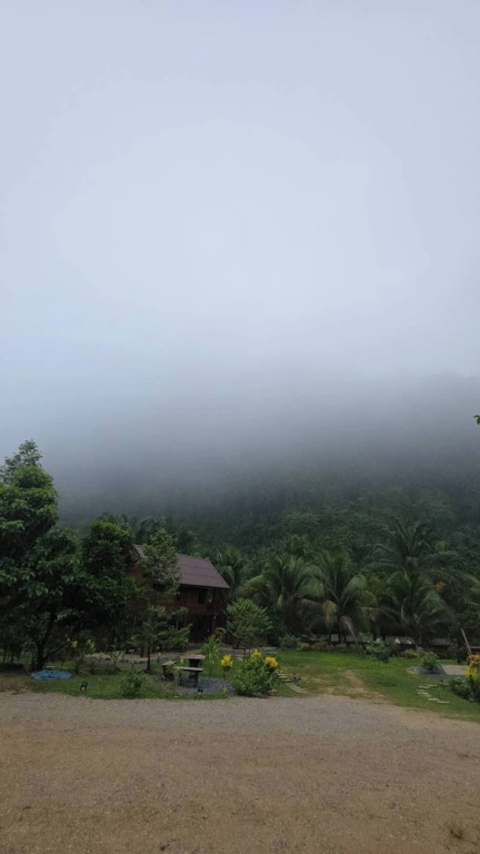 Peaceful House Surrounding by Nature Krabi Province