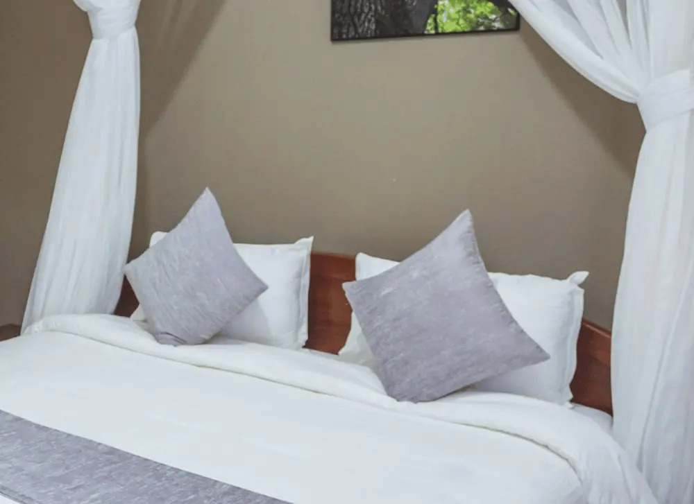 Silverback Hotel