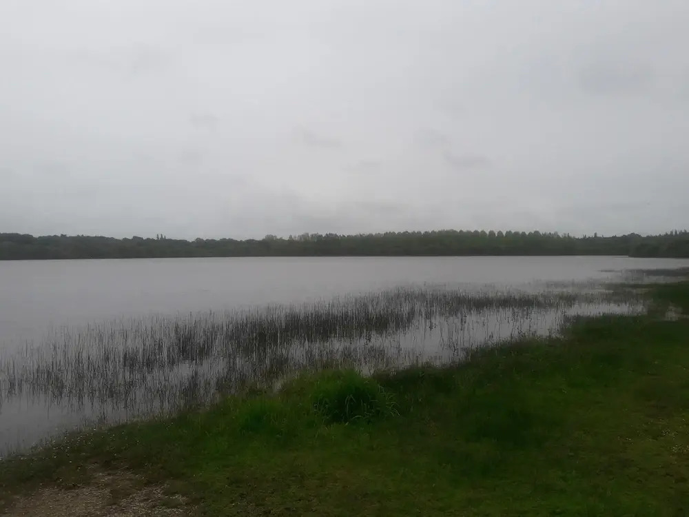 Beau T2 Tharon