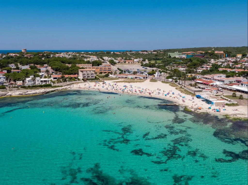 Comitas Isla del Aire