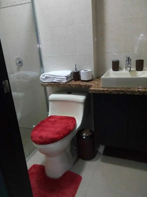 Stylish Apartament