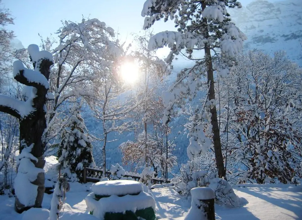 Apartment With 2 Bedrooms in Grindelwald, With Wonderful Mountain View