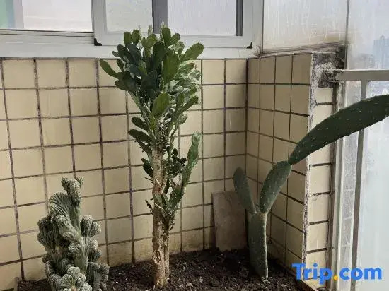 Hubian Homestay