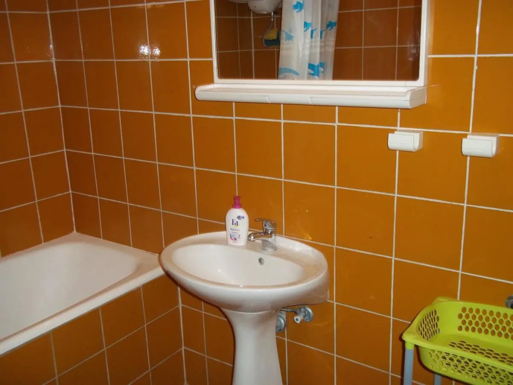 Apartment Branka