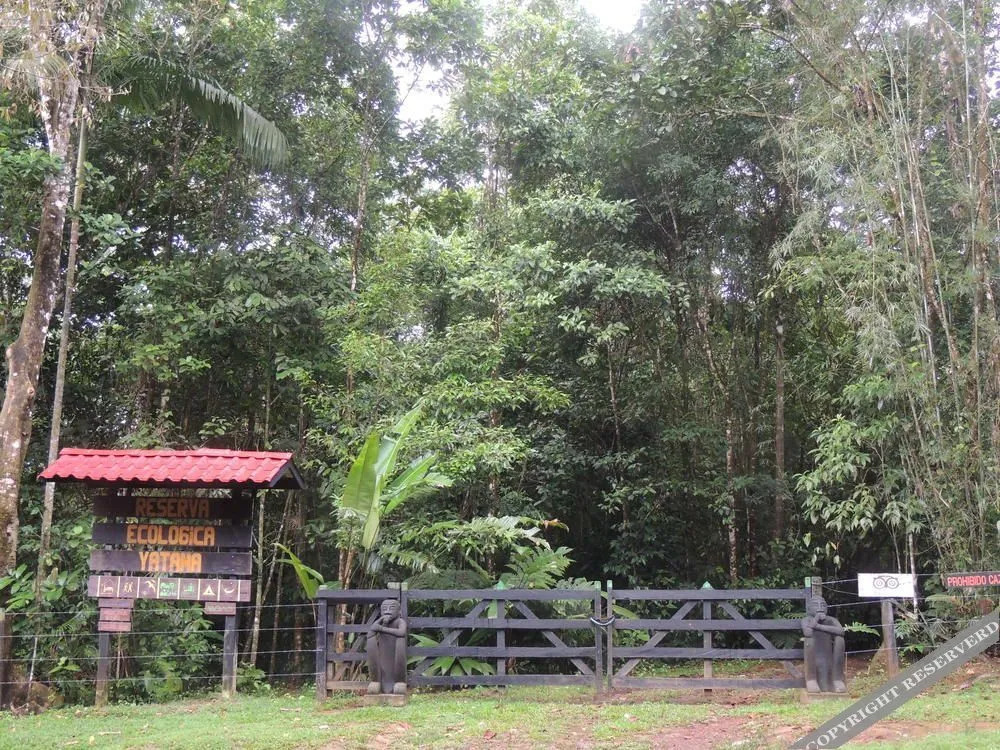 Yatama Rainforest Ecolodge