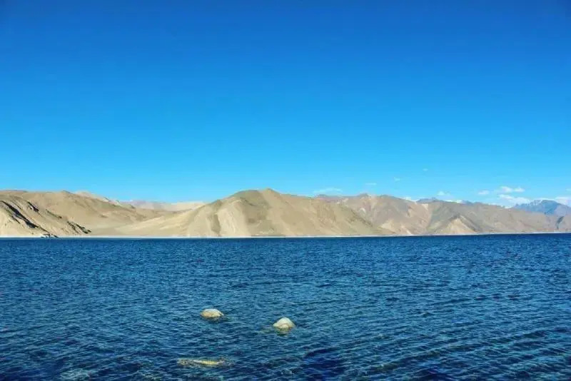 Grand Cozy Cottage Pangong