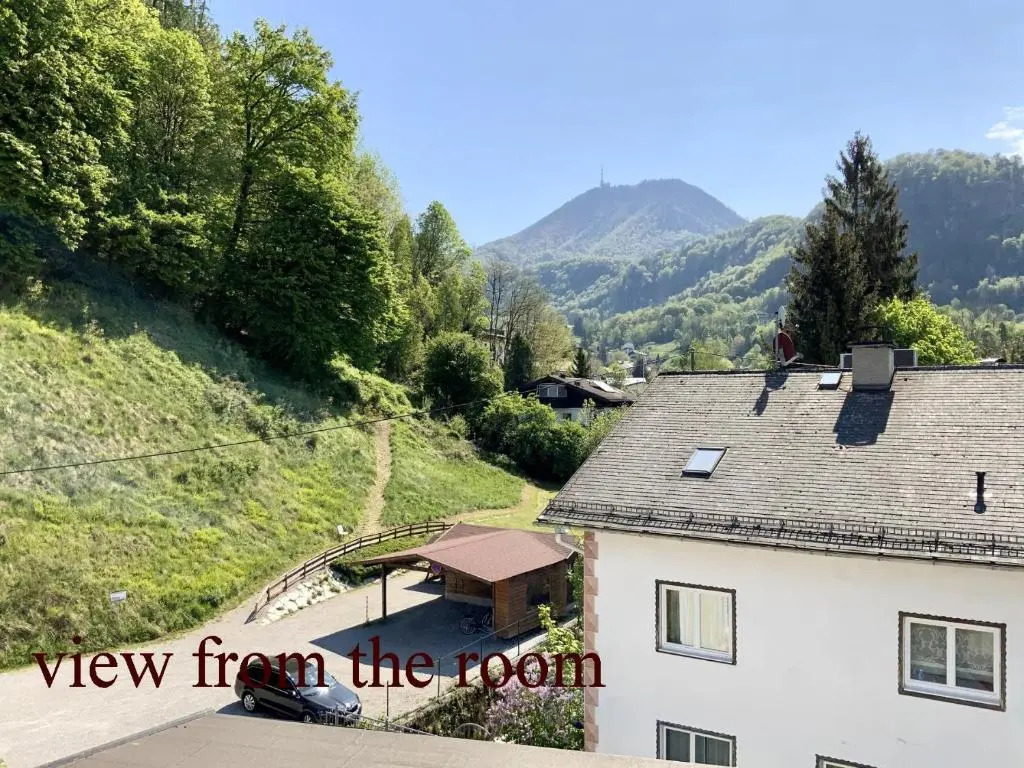 Hotel Turnerwirt