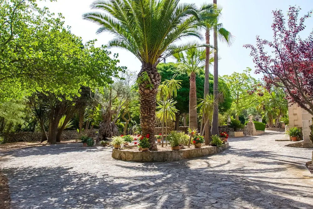 Villa Es Pinar