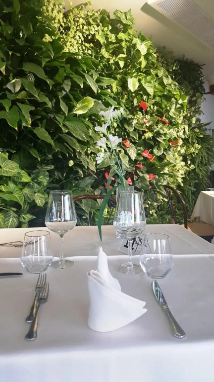 Hotel Lachea