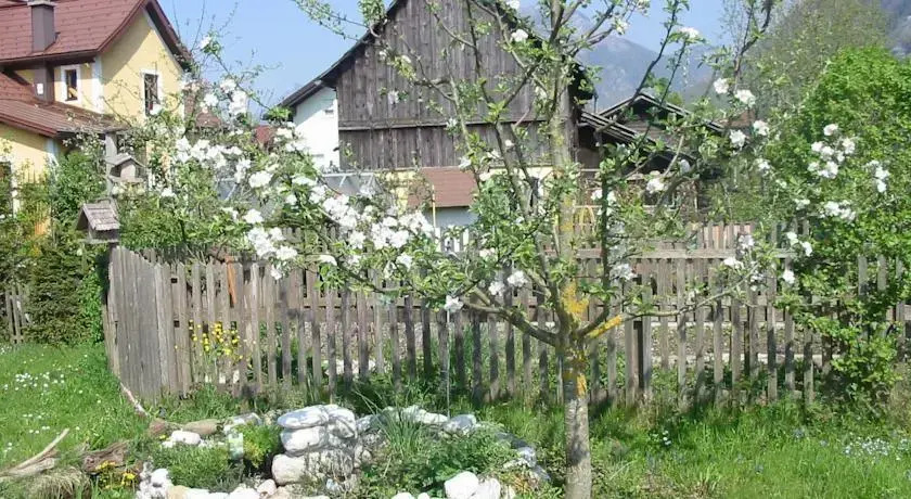 Ferienwohnung Am Pflanzgarten
