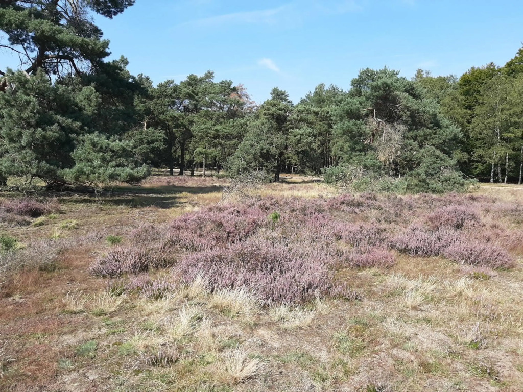 t Grieze Huysje