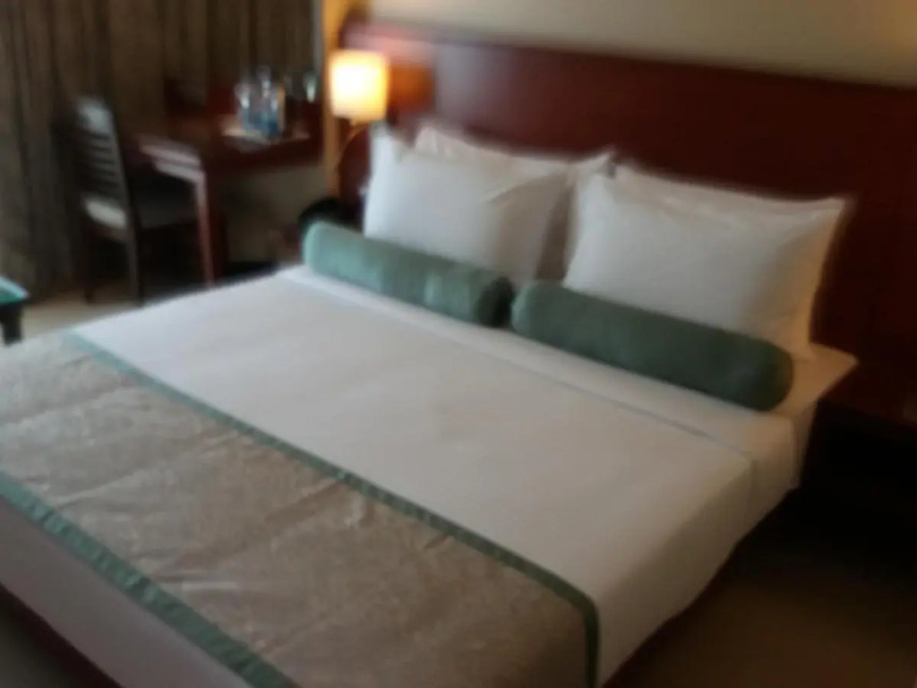 Hotel Green Olive