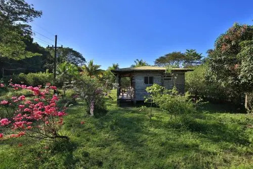 Finca Minoy