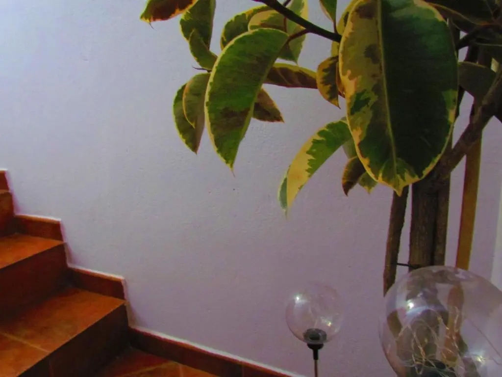 Apartamentos Casas Rurales "Paraje San Blas" TR-BA-00166