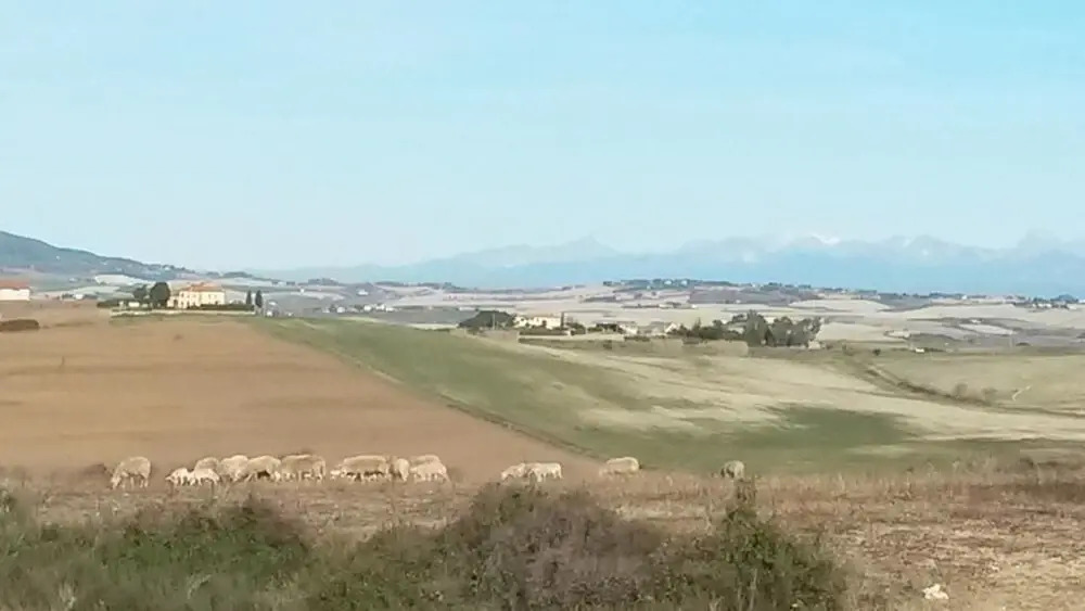 Agriturismo Gesseta