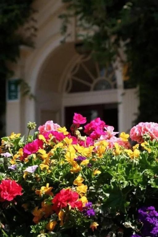 Les Rocquettes Hotel