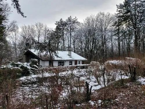 Chalet des pins dAutriche
