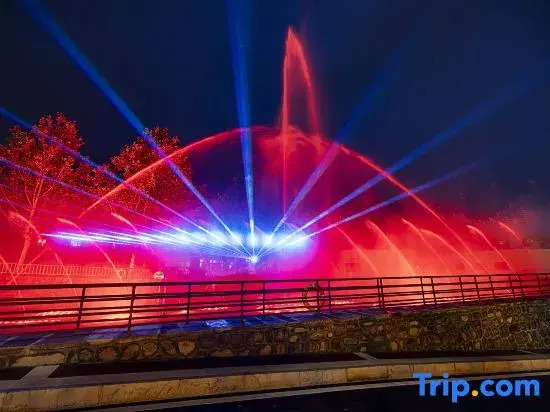 Linzhou Hongyuexing Grand Hotel