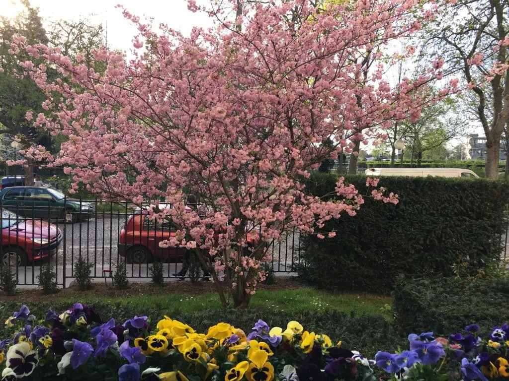 Coquet studio Porte d'Auteuil - très proche de Roland Garros - durée minimum 7 nuits - parking facile à proximité