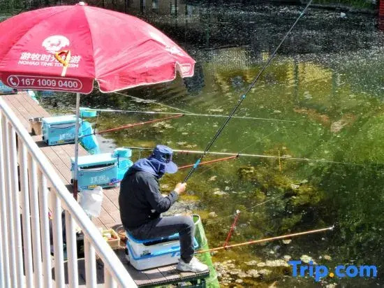 Huairou Shentang Taigong Homestay (Shentangyu)
