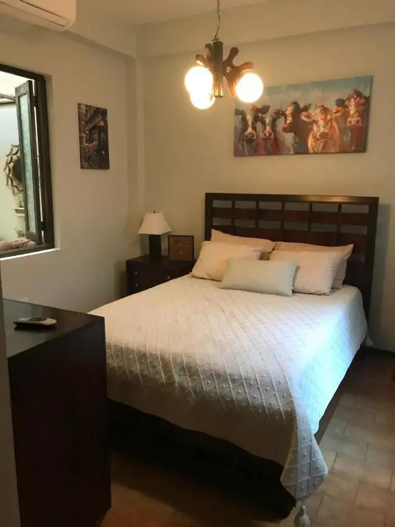 The Garden Apartment, The Willow Apartment, & The Tropical Apartment at Casa of Essence in Old San Juan