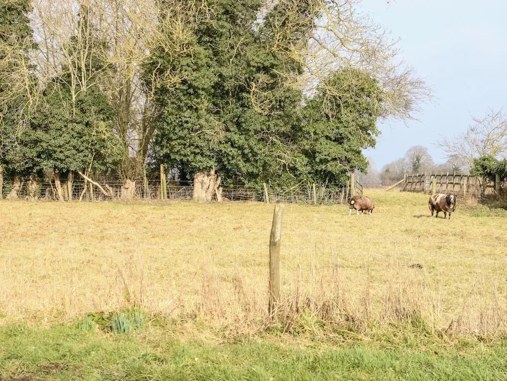 Wensum Spring