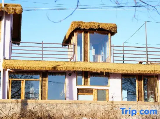 Nature in Nature Pet-friendly Courtyard（Jingzhuang）