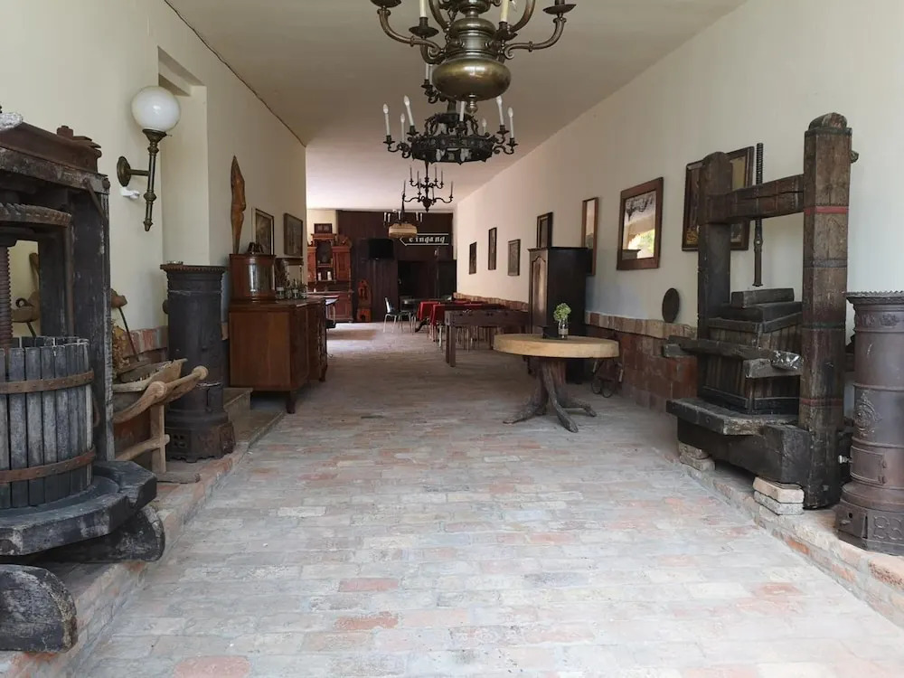 Máté Pension