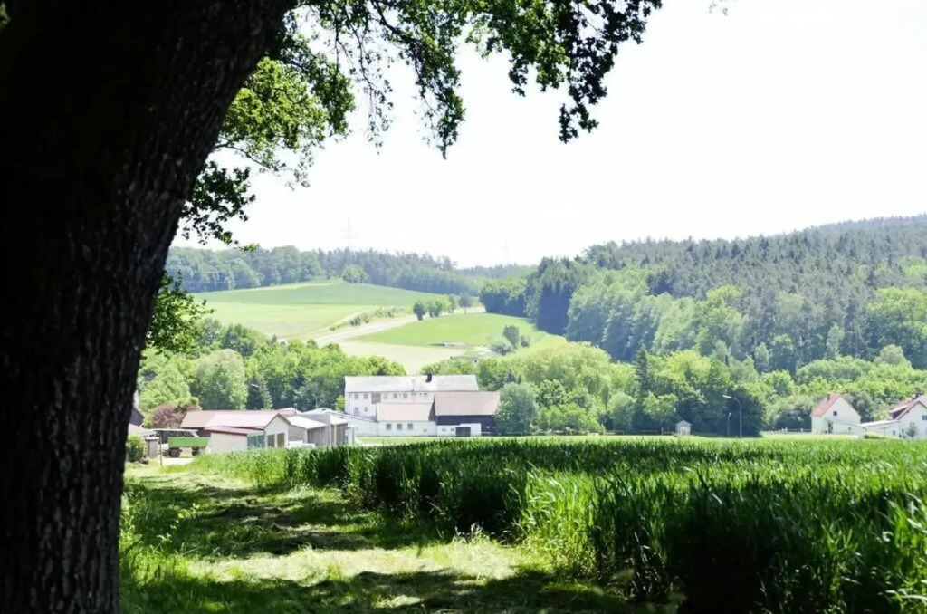 Hotel Gasthof Am Forsthof